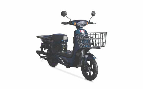 ARORA BORA Elektrikli Scooter
